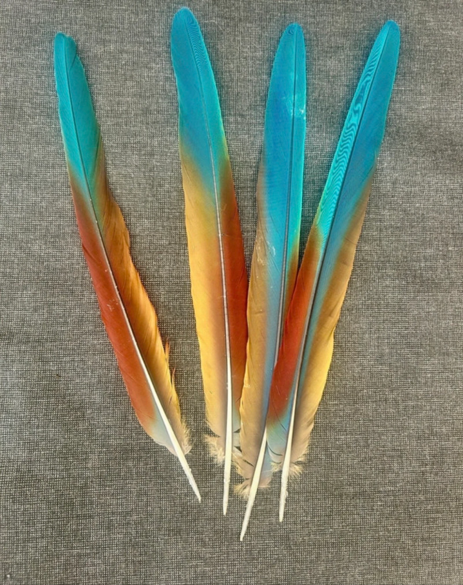 Plumas naturales de la cabra – photo 3